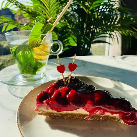 Panzió De Vogelensangh Vogelenzang