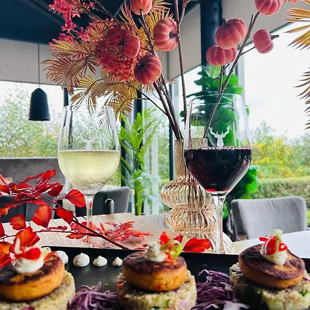 Bed & Breakfast De Vogelensangh Vogelenzang