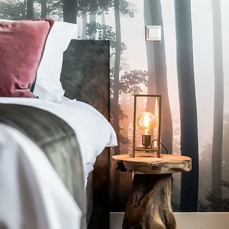 De Vogelensangh Bed & Breakfast Vogelenzang