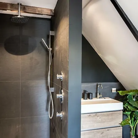 De Vogelensangh 4* Vogelenzang