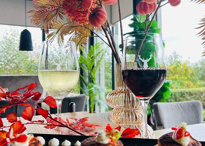 לינה וארוחת בוקר De Vogelensangh Vogelenzang