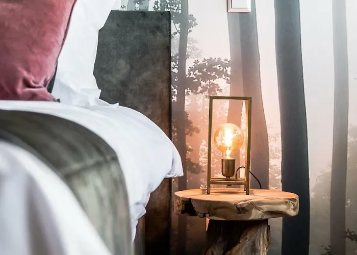 De Vogelensangh לינה וארוחת בוקר Vogelenzang