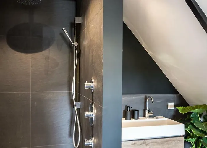 De Vogelensangh 4* Vogelenzang